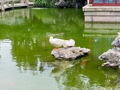 -祝家花園(伯渎港店)