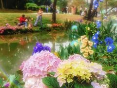 -人民公园(罗湖区)