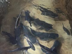 -桃园美食(水库路店)