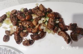 Pan-fried Cicadas