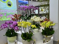-宁波国际会展中心