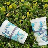 不允许还有人不知道印茶的新品！