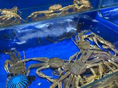 -船梆煮•蒸汽海鲜·炉火烤肉(五四广场店)