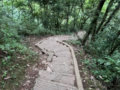 -青城山