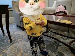 -上海圣淘沙万怡酒店
