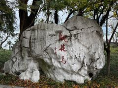 门面-金鸡湖桃花岛