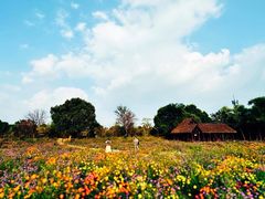 -西溪国家湿地公园