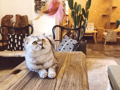 -拾壹cafe·工作室