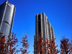 -卖呆儿咖啡(望京店)