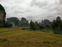 -明仕田园