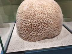 -中国湿地博物馆