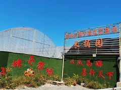 -庞各庄翠芳园西瓜蔬菜基地采摘园