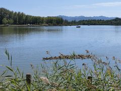 -野鸭湖国家湿地公园
