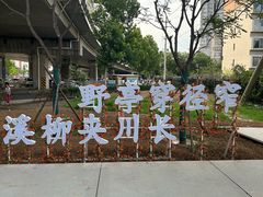 -石榴庄公园