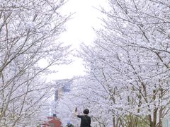 -新天地活力PARK