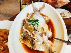 -大中华酒楼·主席武昌鱼·武汉美食地标(江汉路步行街店)