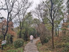 -游子山休闲旅游区