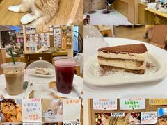-滚猫咖啡·猫咖·猫友好撸猫(未来城店)