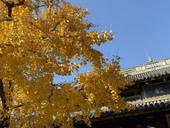 -龙华素斋(龙华路店)