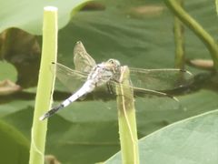 -云居湖
