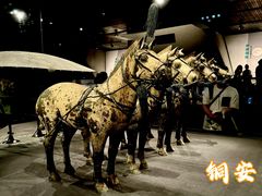 -秦始皇帝陵博物院-丽山园