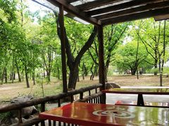 -国家植物园南园