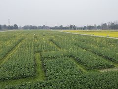 -中国天府农业博览园