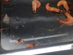 -汉丽轩韩式自助烤肉(大学城龙湖U城天街A馆店)