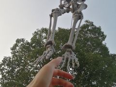 -国色天乡三期陆地乐园