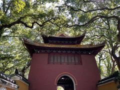 -普陀山风景名胜区-法雨禅寺