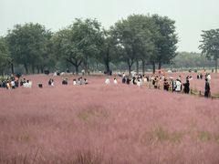 -汉长安城未央宫国家考古遗址公园