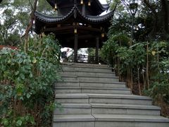 -金鸡山公园