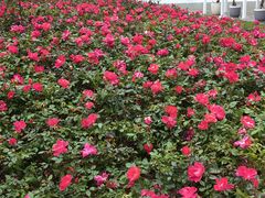 -人民公园(罗湖区)