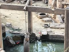 -太子山公园(园东路)