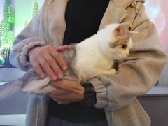 -极木²邸 人与宠物·互动社区