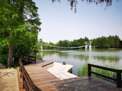 -东湖落雁景区