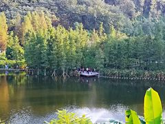 -重庆彩云湖湿地公园