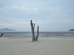 -花岙岛
