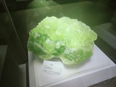 -湖南省地质博物馆