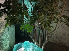 -艺术食堂(创意料理)