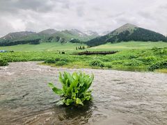 -新疆那拉提国家旅游度假区