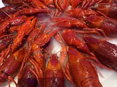 -红盔甲·小龙虾(定西路店)