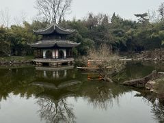 -水绘园