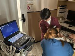-瑞派康怡24h宠物医院·犬猫医疗中心·微创绝育(瑞景分院)