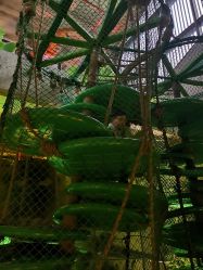 点击看大图 -恐龙探索乐园(磁器口店)