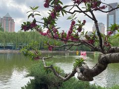 -团结湖公园