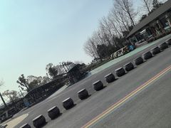 -合肥滨湖国家森林公园