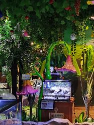 -酷嗒动物文化乐园(cutezoo西溪乐天城店)