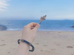 -厦门园林博览苑