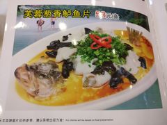 香葱芙蓉蒸鲈鱼-清心鸡沙田乳鸽店·非遗传承(石溪店)